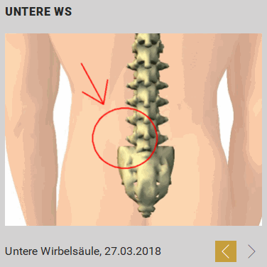 black_widget_grafischebefunde.gif