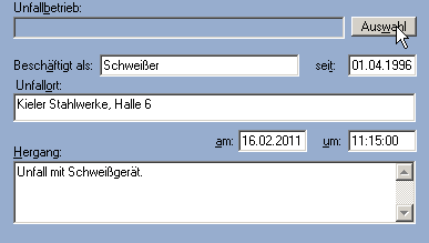 BG-Auswahl-Unfallbetrieb Registerkarten.gif