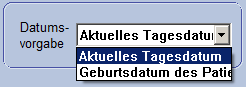 Eingabemaske_Combobox_Datumsvorgabe.gif